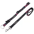 personalized dog collar and leash set